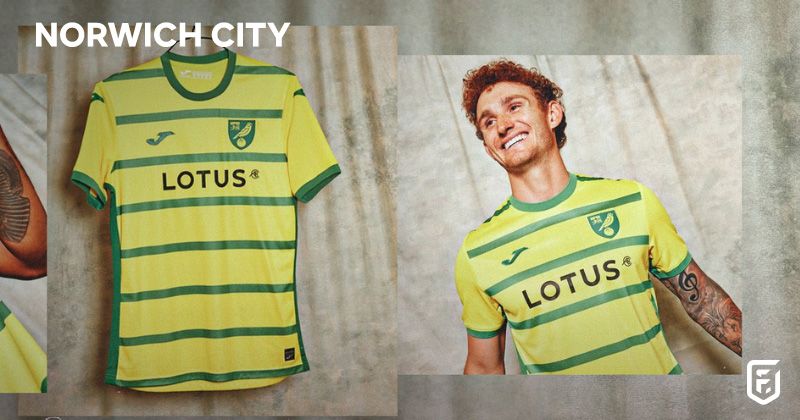 josh sargent wearing norwich city 2023-24 home shirt in green and yellow